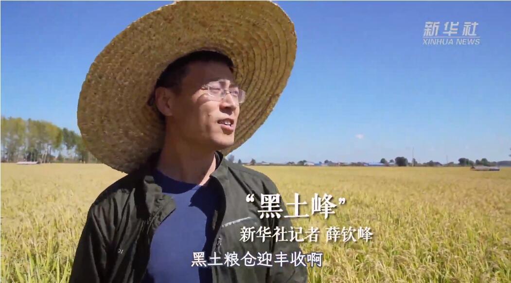 点击图片 播放视频