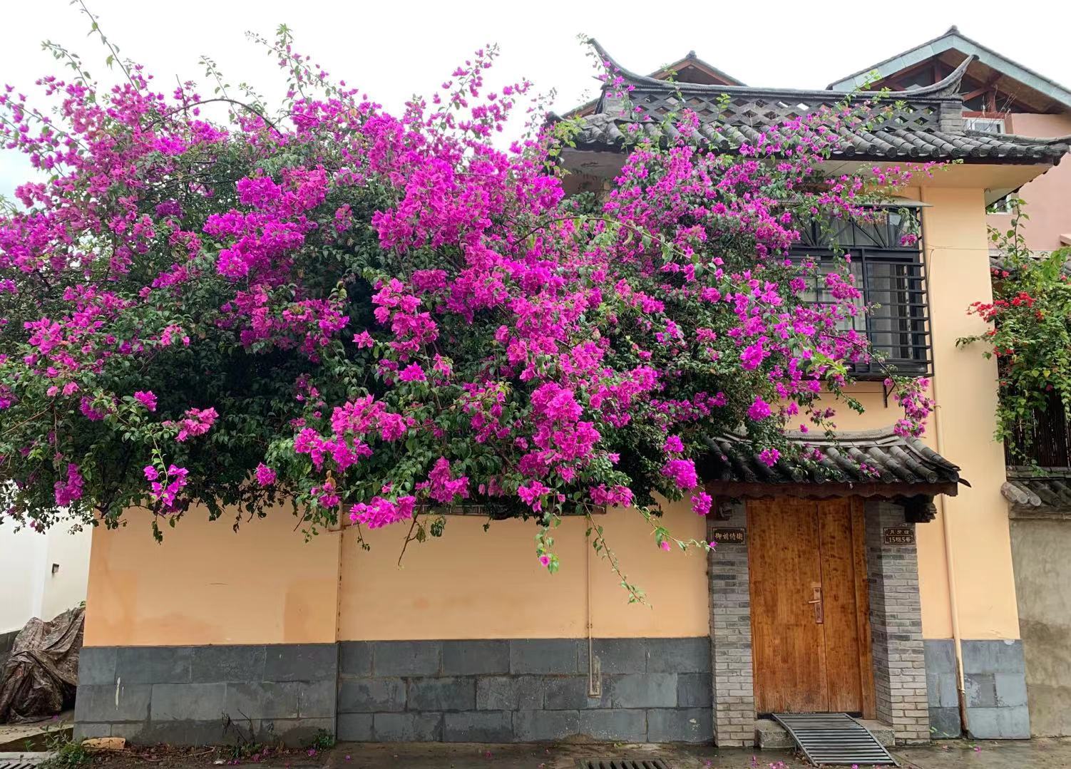 退潮后的大理 许多人来大理寻找爱情 却弄丢了自己 凤凰网