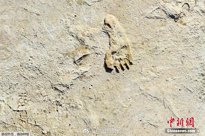 在美国新墨西哥州发现的脚印化石表明,大约23000年前,早期人类已经