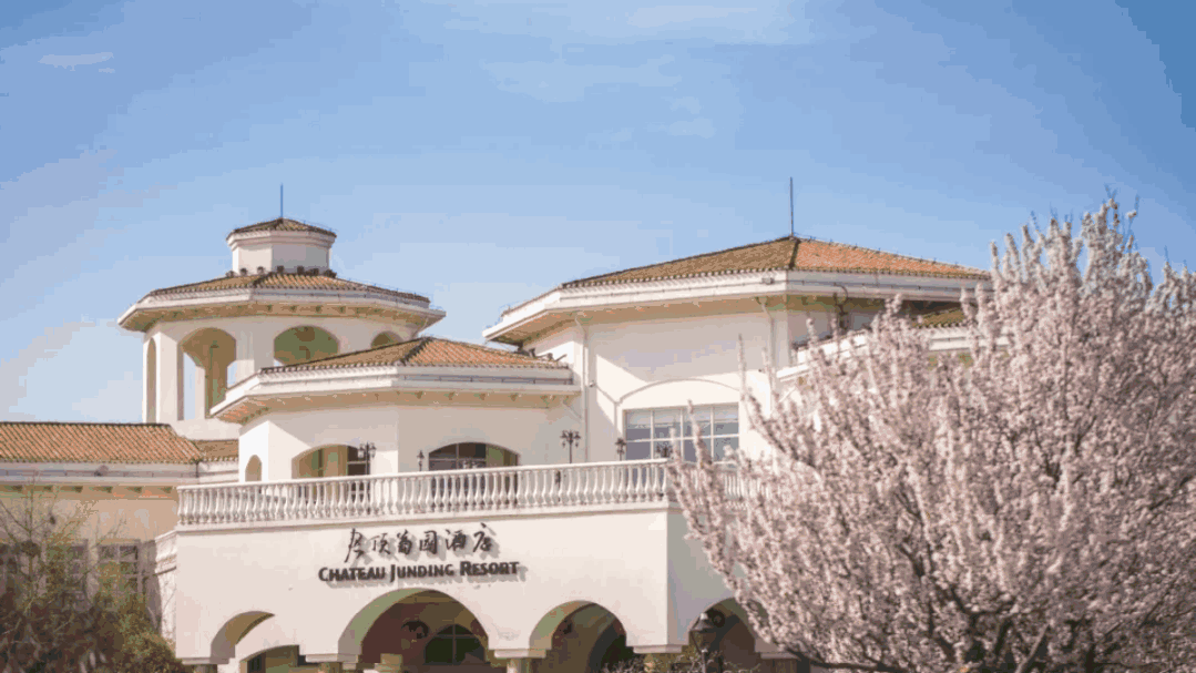 旅发大会看烟台丨向海激活“蓝色动能”，培育壮大“雁阵形”滨海旅游产业集群