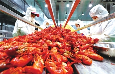 小龙虾养成大产业