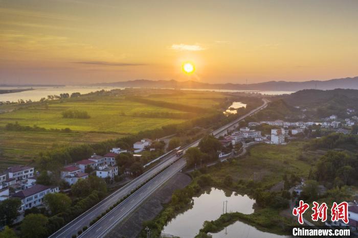 在金色的水稻里、波光粼粼的长江与鄱阳湖、和远山的映衬下，宛如一幅美丽的田园秋色图。　祝兴勇 摄