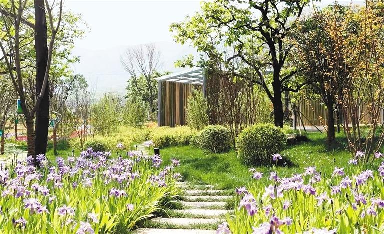 抱龙村生机盎然的田园美景。 （记者 骆妍 摄）