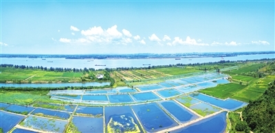 江水蟹养殖基地