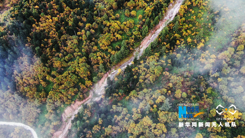 “飞阅”陇原：斑斓如画官鹅沟