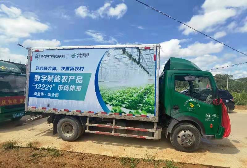 中国邮政乡村振兴化州特色农品番石榴项目举行发车仪式