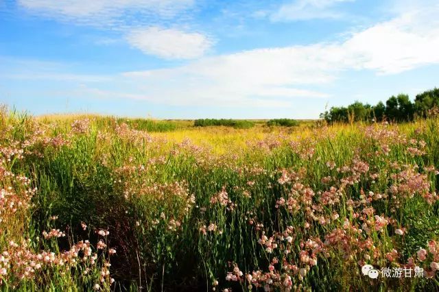 品丝路文化,感敦煌魅力:敦煌不只有莫高窟!