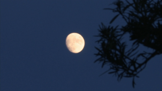 中秋赏月江西送你宇宙级别的浪漫