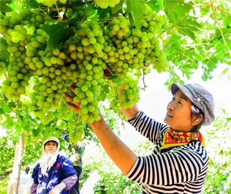 畅游敦煌的N种正确打开方式，你解锁了吗？