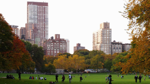 漫步在纽约的中央公园，原来富人们想住的豪宅都在此地