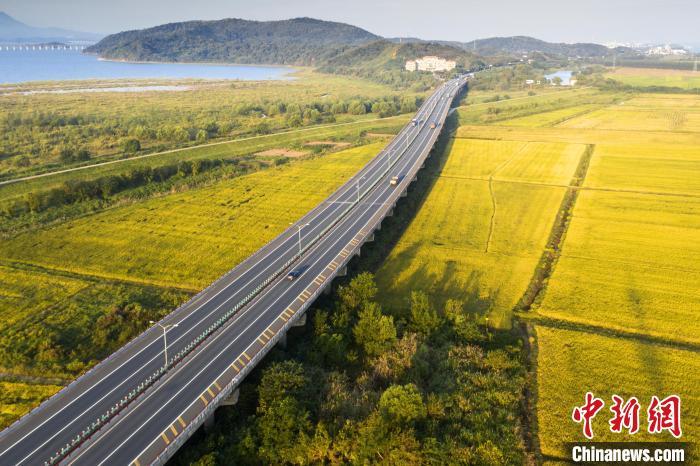 9月24日，航拍江西省九江市濂溪区境内的九景高速公路，穿越金色稻田。　祝兴勇 摄