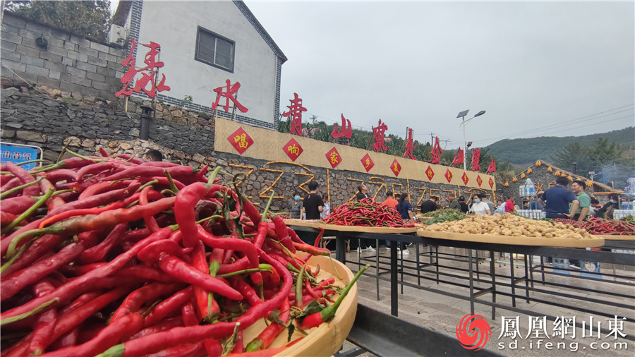 这就是淄博丨“唱响家乡美&middot;特色乡村行”跨平台融媒体联动网络直播活动正式启动