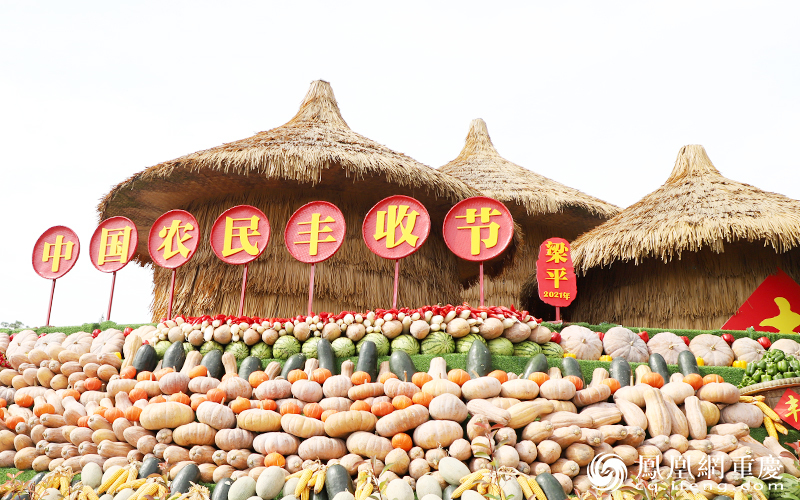今年梁平区夏粮生产再传捷报、再获丰收