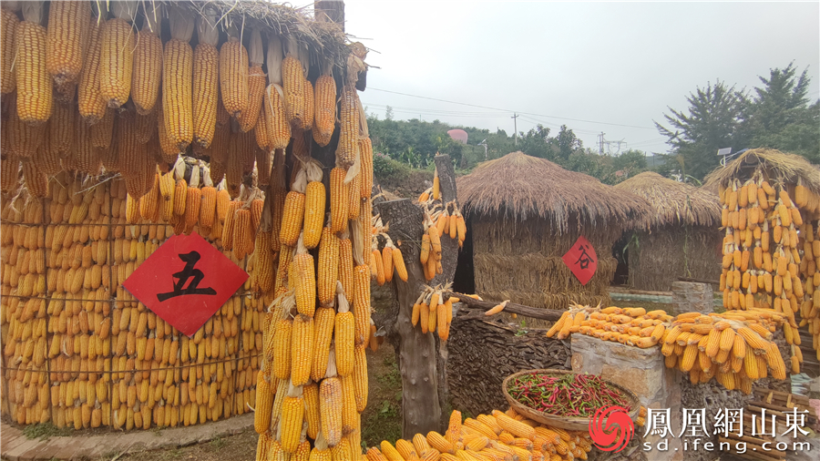 这就是淄博丨“唱响家乡美&middot;特色乡村行”跨平台融媒体联动网络直播活动正式启动