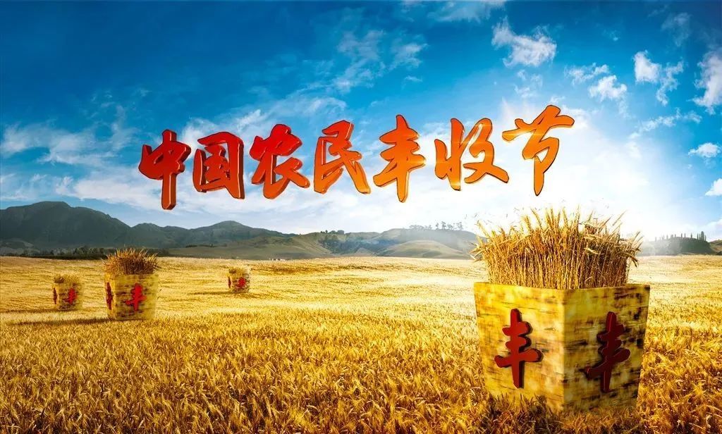 黄的绿的红的……肃州总寨镇丰收的颜色好“治愈”