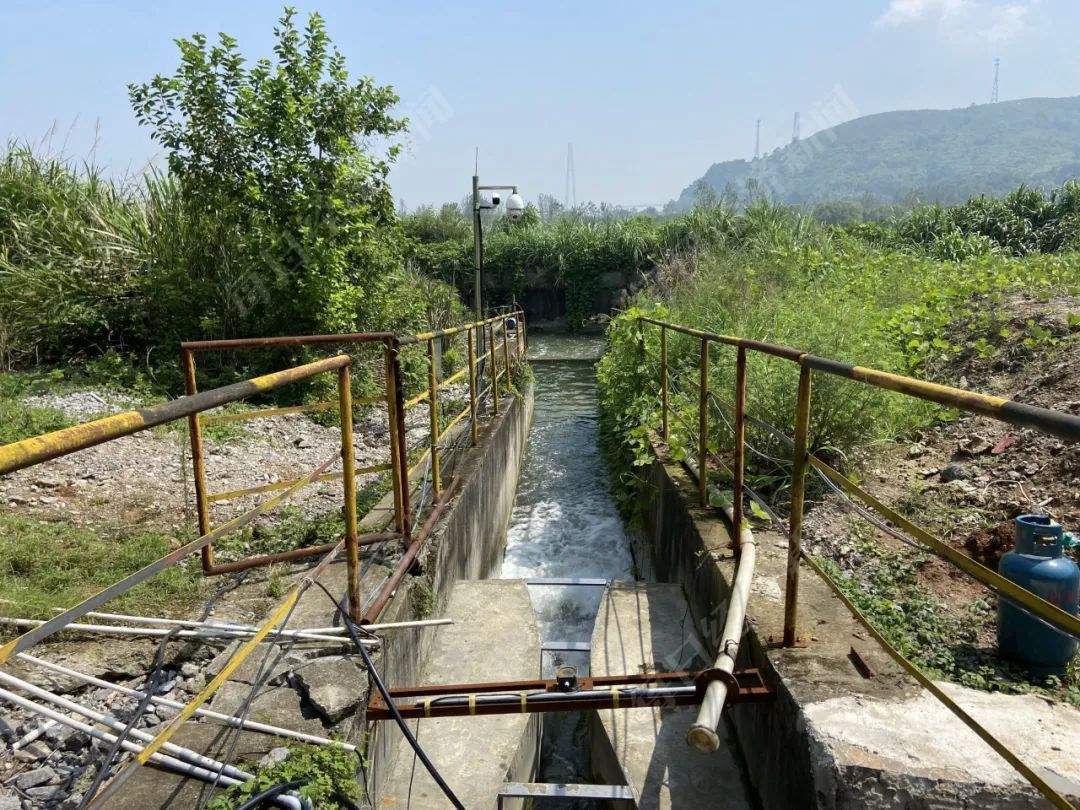 大冶有色问题缠身：废水直排长江 年报“睁眼说