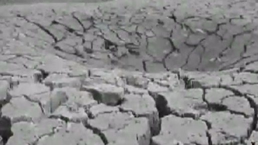 1930年陕西发生大旱，张季鸾在报纸上急呼“三元钱救一命”