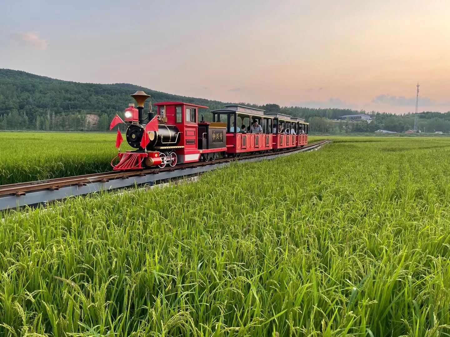 稻田旁的特色小火车(图片由受访者提供)