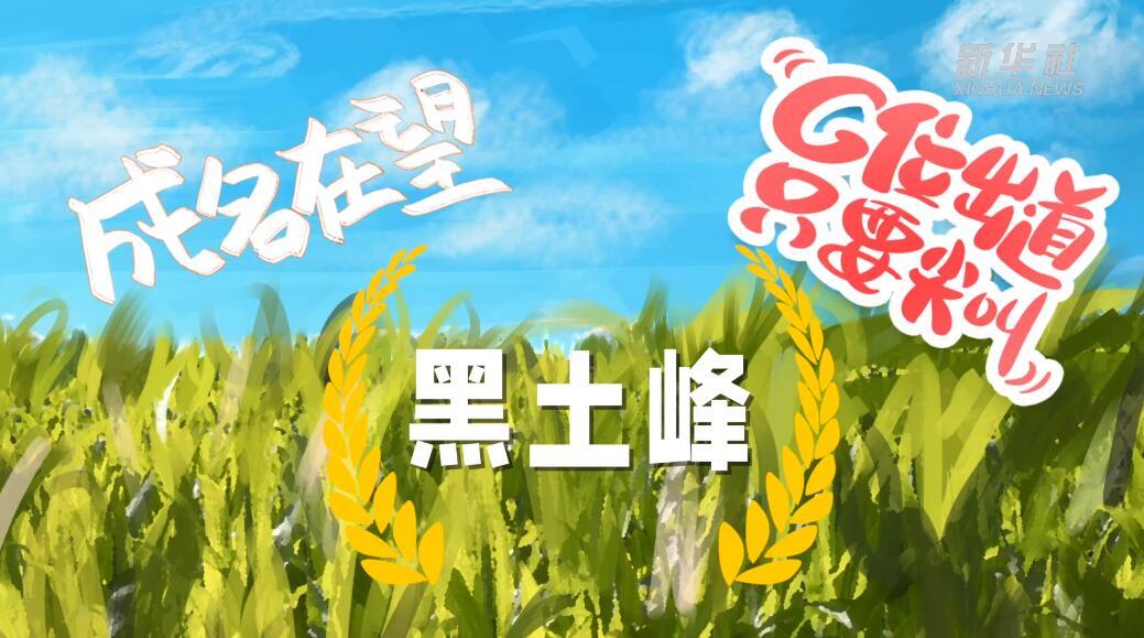 点击图片 播放视频