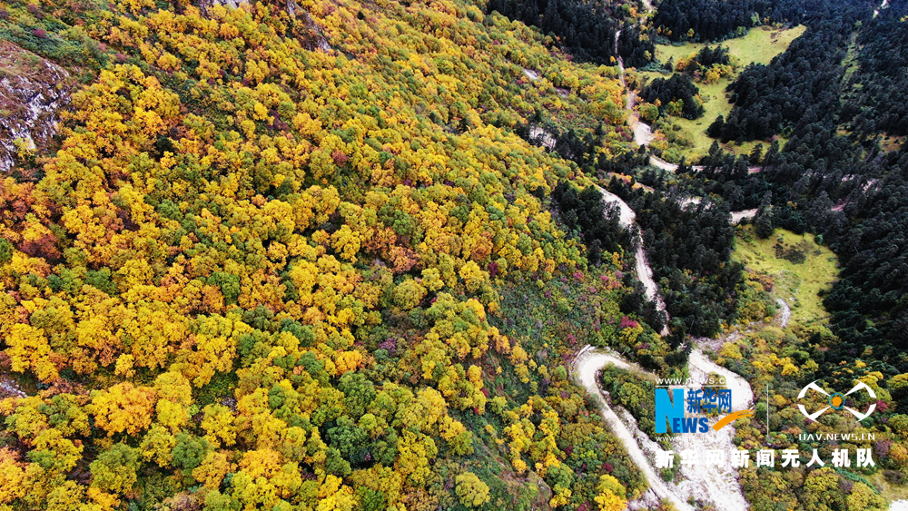 “飞阅”陇原：斑斓如画官鹅沟