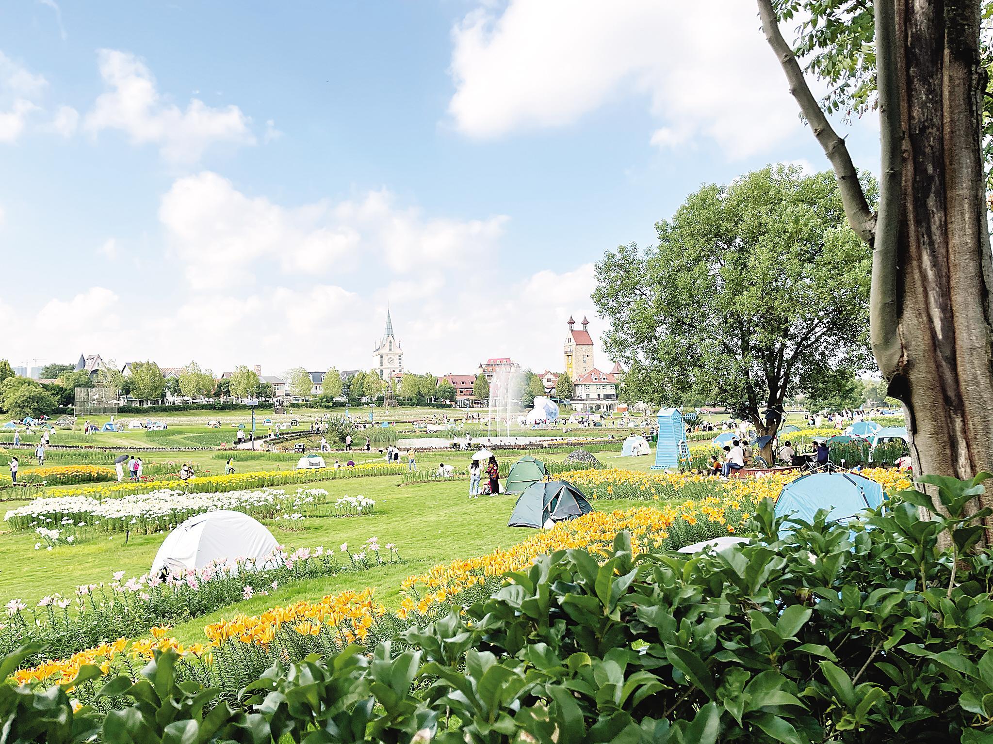 大批游客在武汉蔡甸花博汇搭起帐篷休闲度假