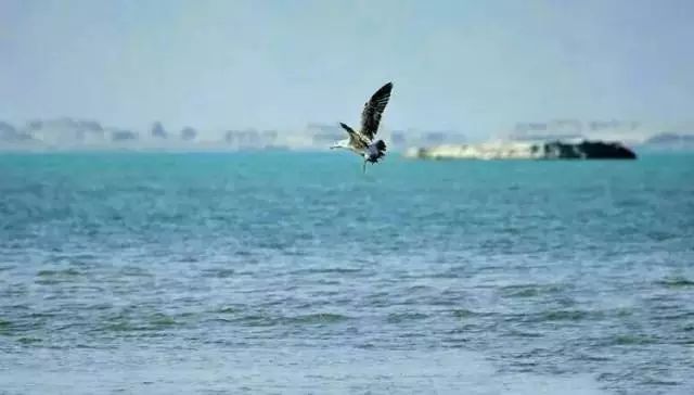 品丝路文化,感敦煌魅力:敦煌不只有莫高窟!