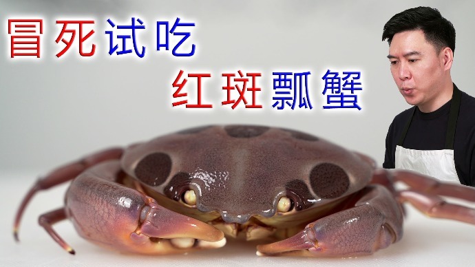 冒死试吃红斑瓢蟹肉质非常的鲜甜吃了好多现在好怕怕