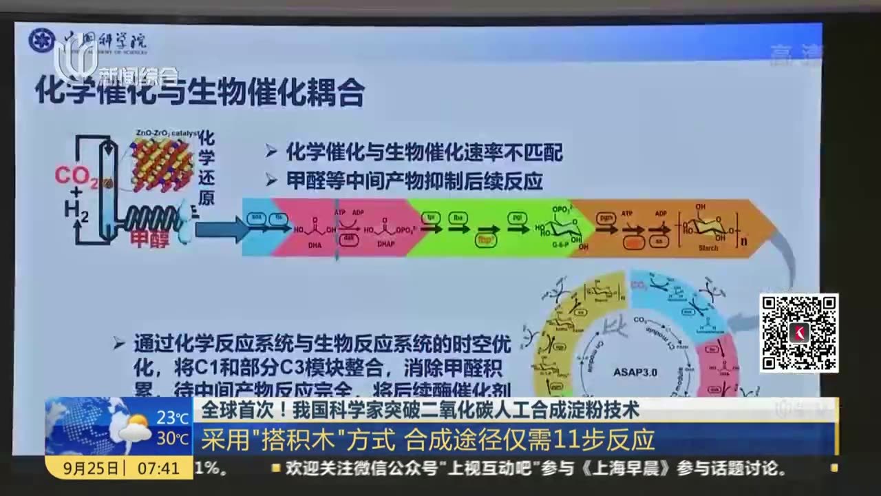 全球首次！我国科学家突破二氧化碳人工合成淀粉技术：采用“搭积木”方式  合成途经仅需11步反应