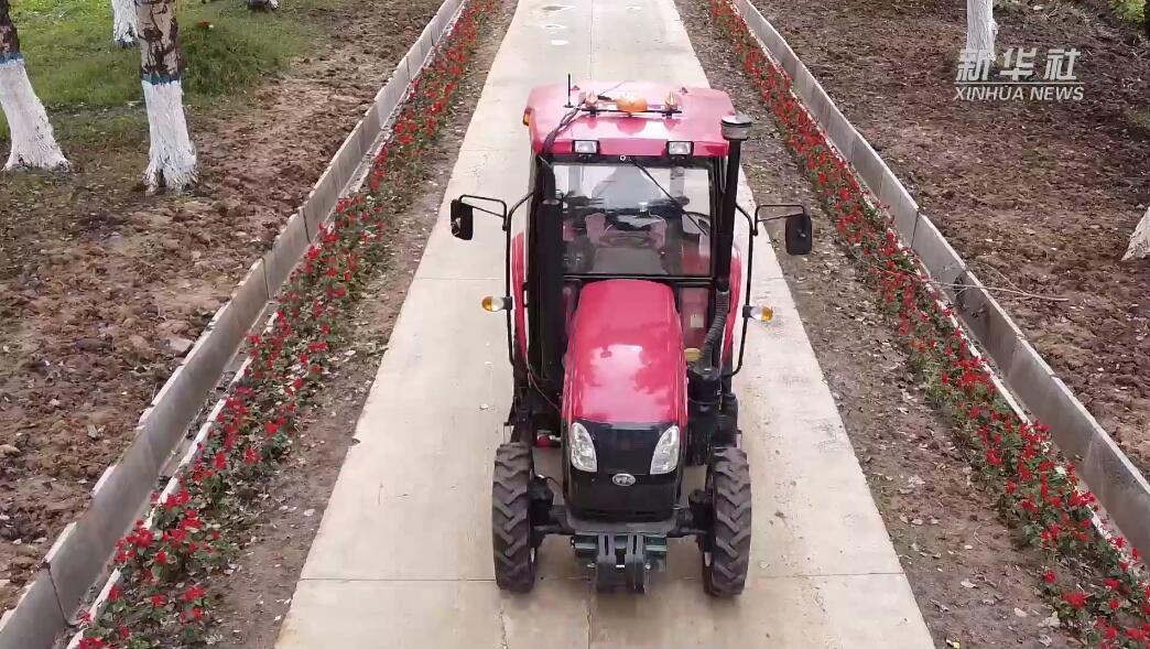 点击图片 播放视频