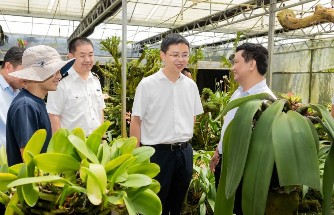 文昌市委副书记代理市长刘冲到海口海关热带植物隔离检疫中心调研