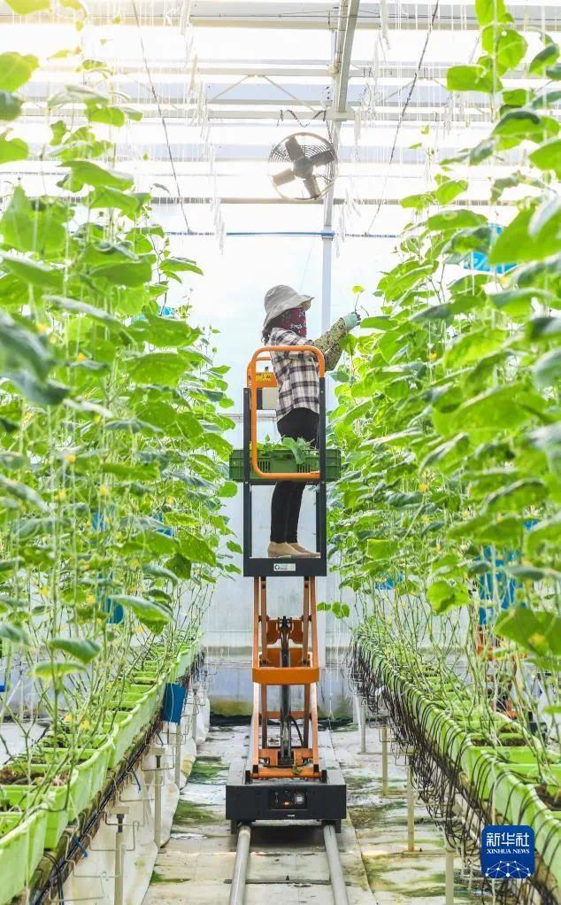 陵水科技助力现代农业发展