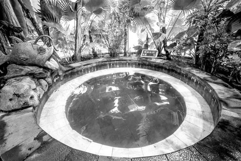 通渭温泉度假村