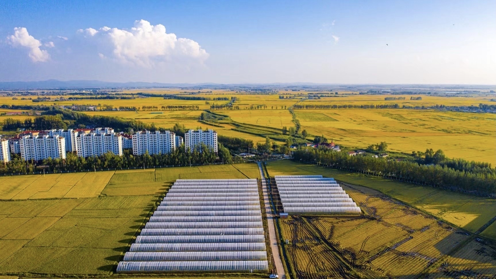 化零为整绘丰景吉林全省建成高标准农田3781万亩