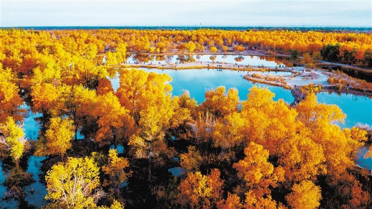 鸟瞰金波湖 连志鹏 摄