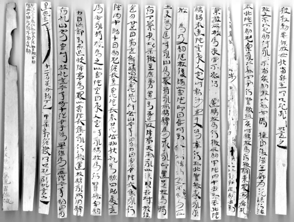 隧长焦永死驹劾状