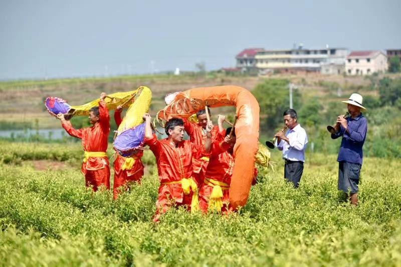 江西进贤省级非遗泼蛇灯庆国庆舞出农民幸福的样子
