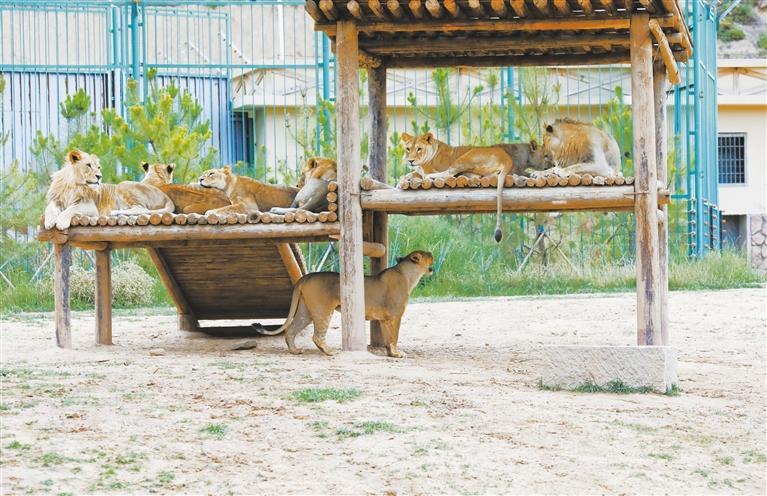 蘭州野生動物園門票