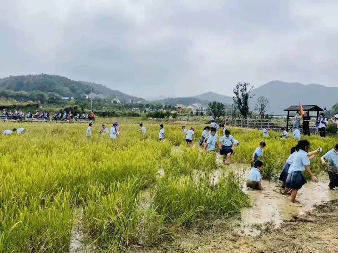 安徽庐江“周”游记｜不虚此行！国庆庐江旅游线路推荐（三）山水田园乡野游！