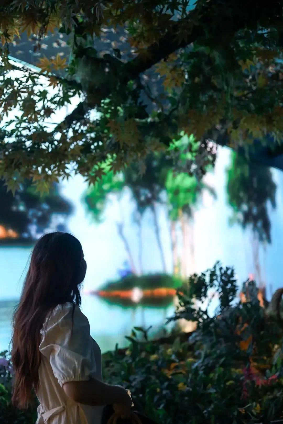 欢迎来到人间蝴蝶仙境郁郁葱葱的绿色植物加上无处不在的蝴蝶图案与