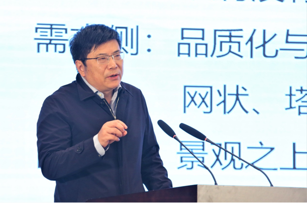 图为中国旅游研究院院长戴斌在峰会上作专题演讲