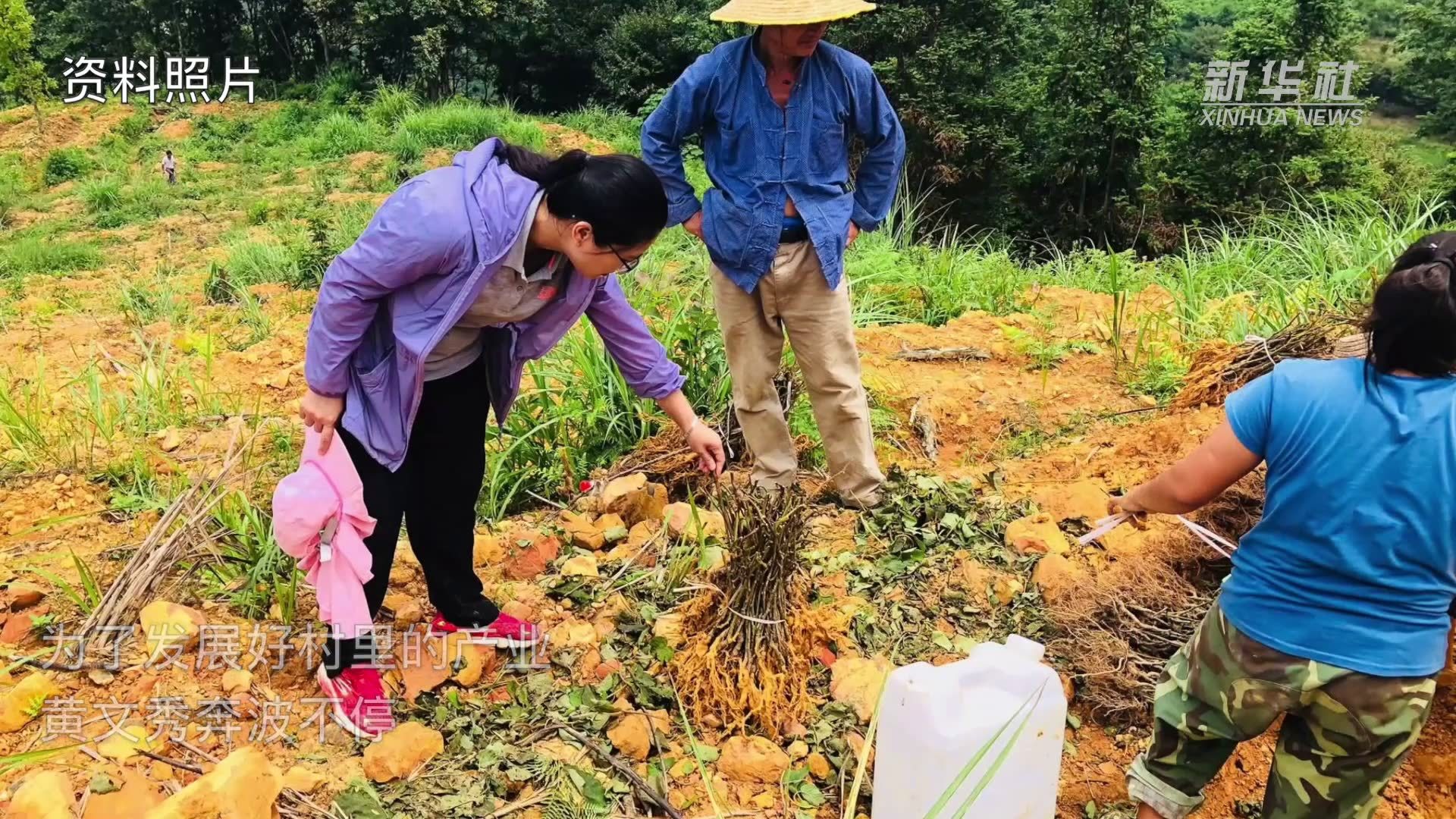 祖国颂中华好儿女文秀书记的心愿正一个个实现