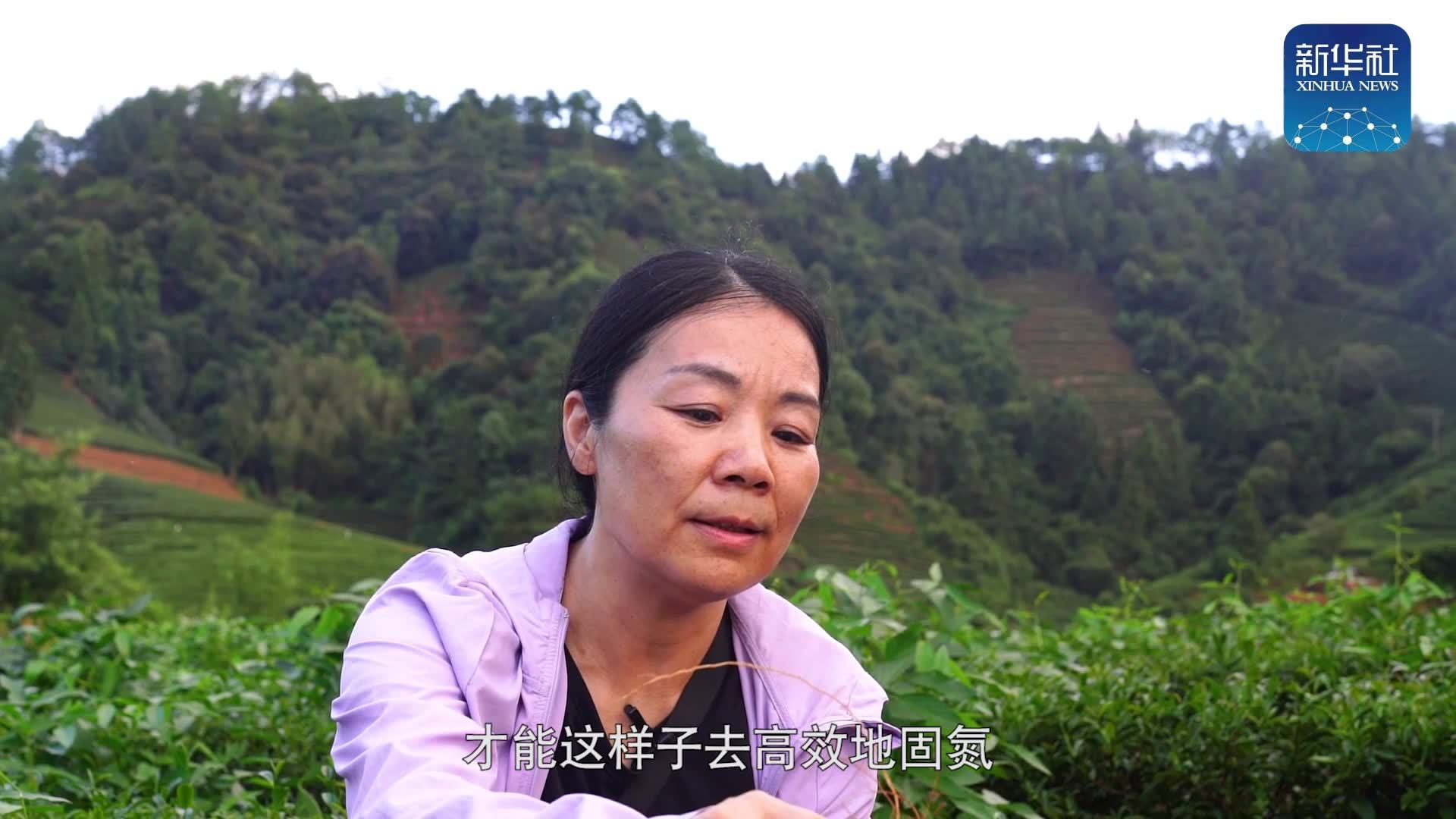 新华全媒+丨“中华好儿女”系列短视频：情怀
