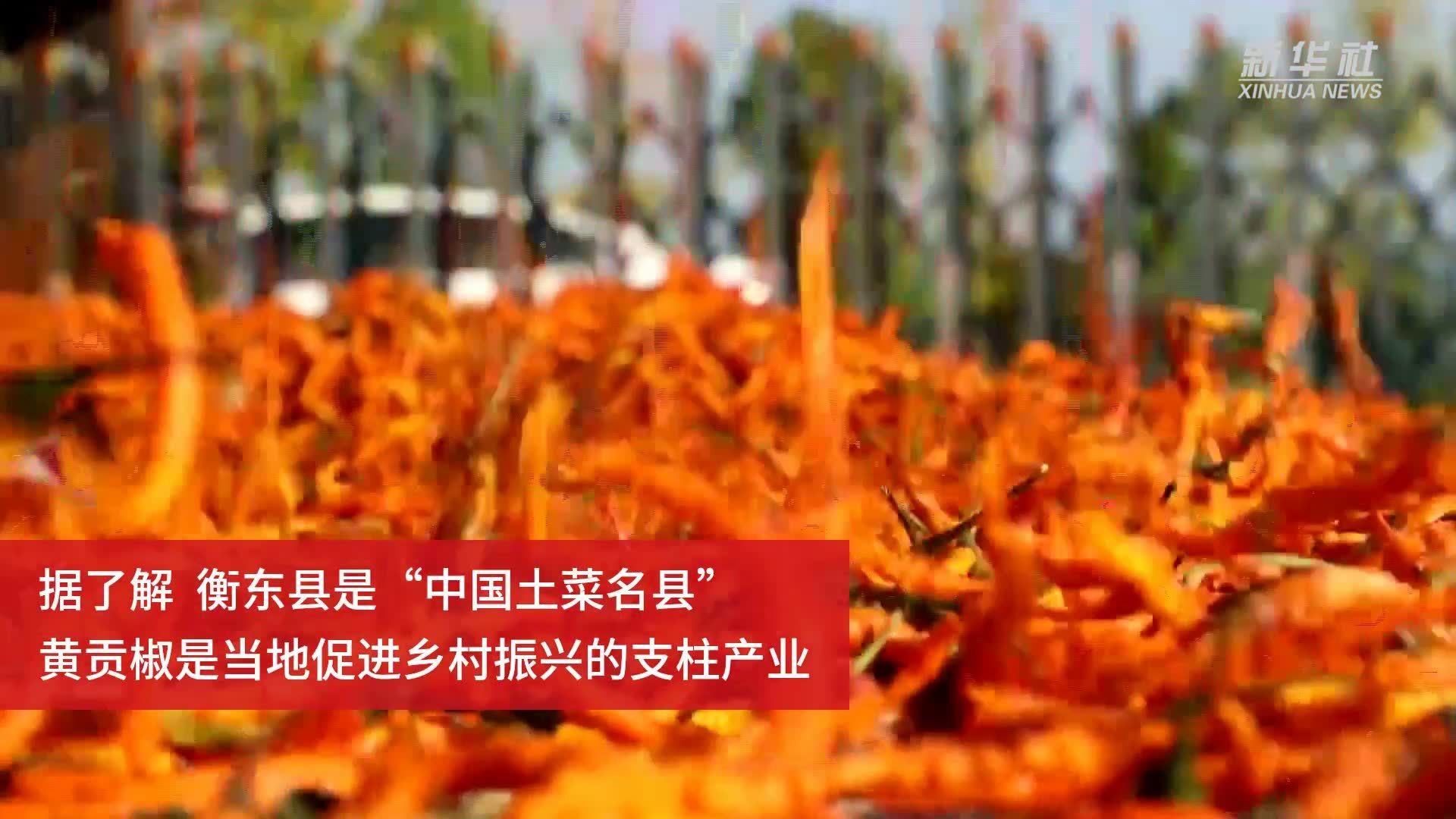 丰收的辣椒拼出“我爱你中国”