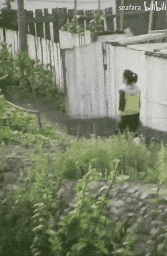 直播朝鲜人挖土，成了财富密码