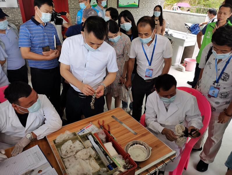 江西南风面国家级自然保护区工作人员正在给鸟儿做环志（李梦丽 摄）