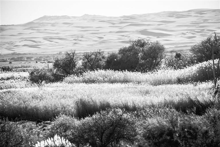 敦煌秋景 掌上兰州&middot;兰州晨报通讯员 王斌银 摄