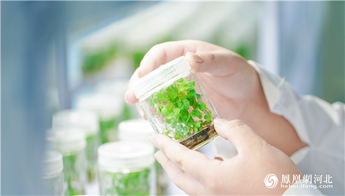 来自保定市文化广电和旅游局