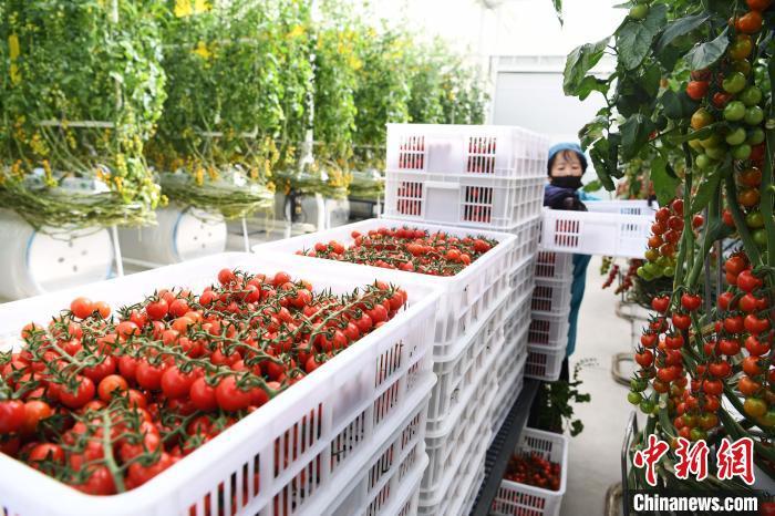 甘肃明确脱贫户可小额信贷五年内涉农贷款不低于上一年