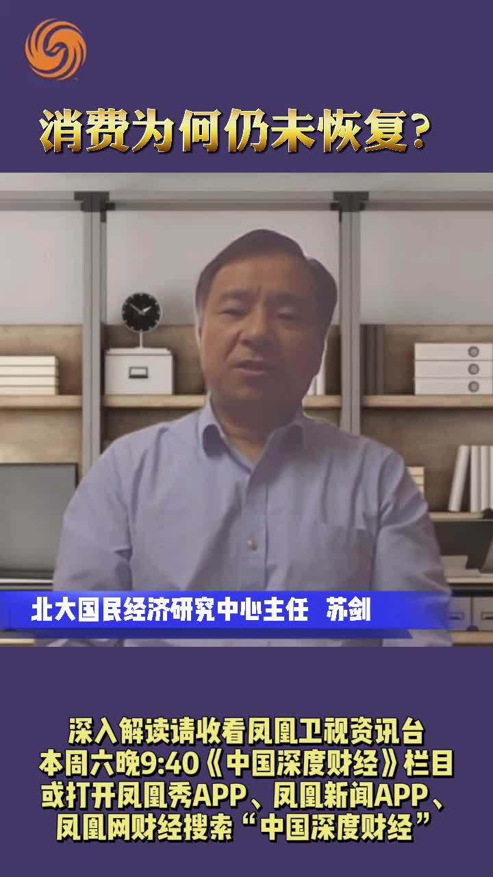 北京大学国民经济研究中心主任苏剑：消费为何仍未恢复？
