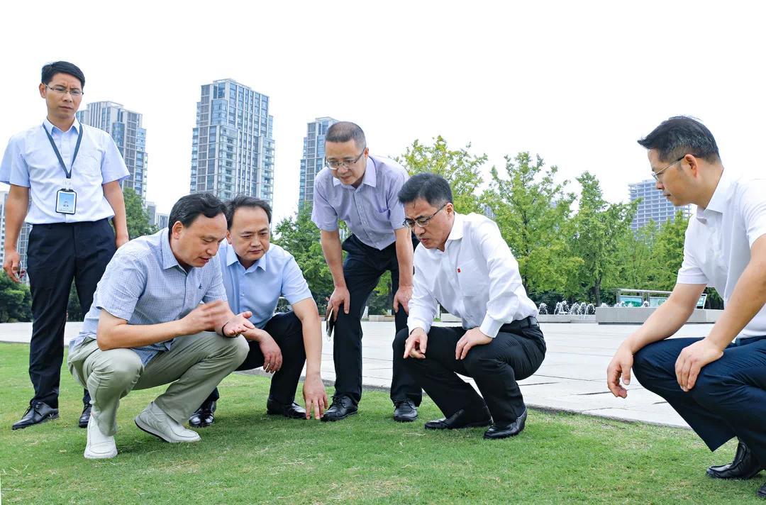 渝北书记于会文调研空港新城开发建设建设高品质生活宜居新区